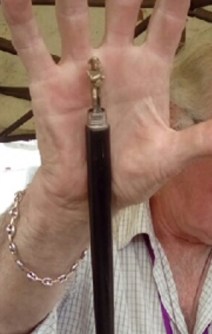 Canne Bonapartiste 2